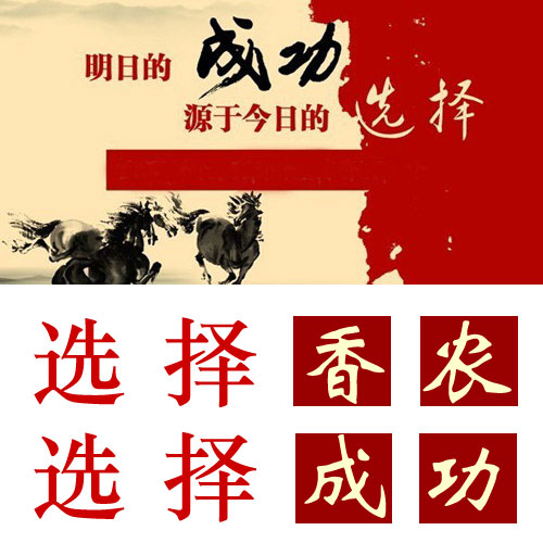 成功數(shù)據(jù)恢復(fù)