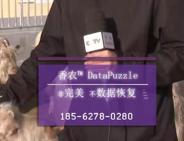 松下P2卡數據恢復