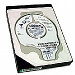Maxtor DiamondMax Plus 8 硬盤的數據恢復
