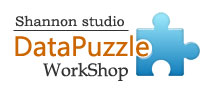 DataPuzzle WorkShop
